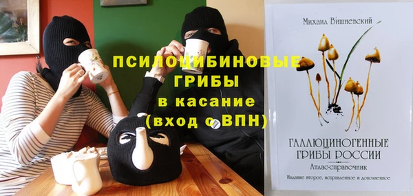 а пвп мука Бугульма